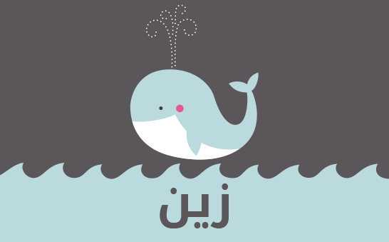 معنى اسم زين