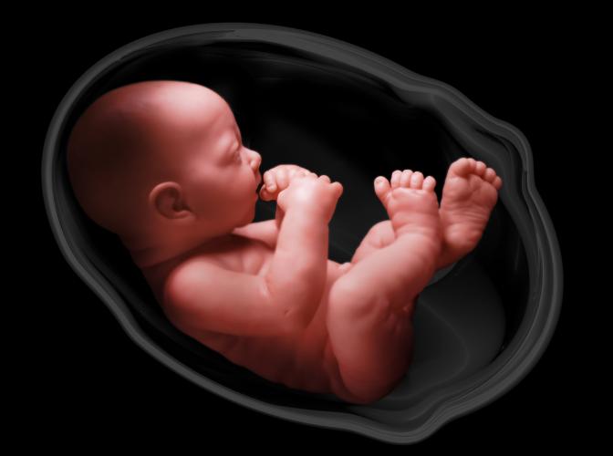 10 أمور مذهلة يشعر بها الجنين في بطن أمه