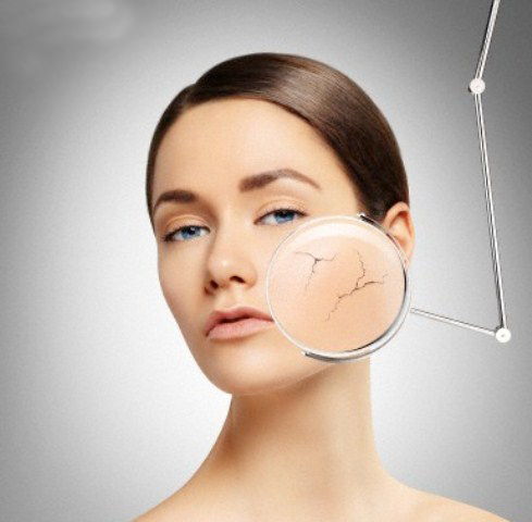 Face, Person, Human