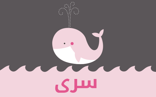 ما معنى إسم سرى؟