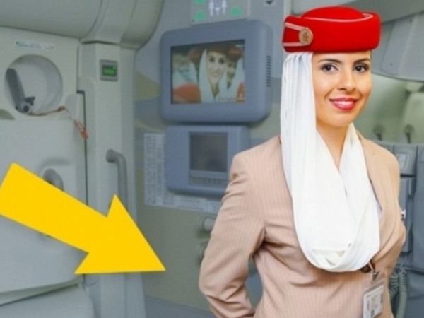 سبب استقبال المضيفة للركاب على باب الطائرة