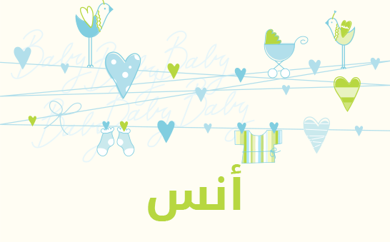 معنى اسم أنس