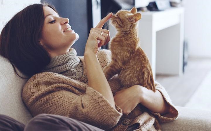 4 مقومات ضرورية لإختيار الغذاء الأمثل لدى القطط