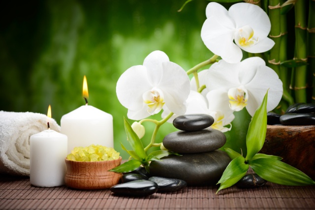 Plant, Petal, Flower