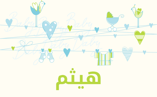 ما معنى إسم هيثم؟