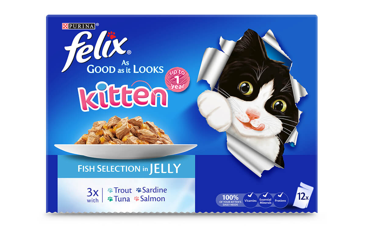 FELIX® kitten - As Good As It Looks Fish Selection