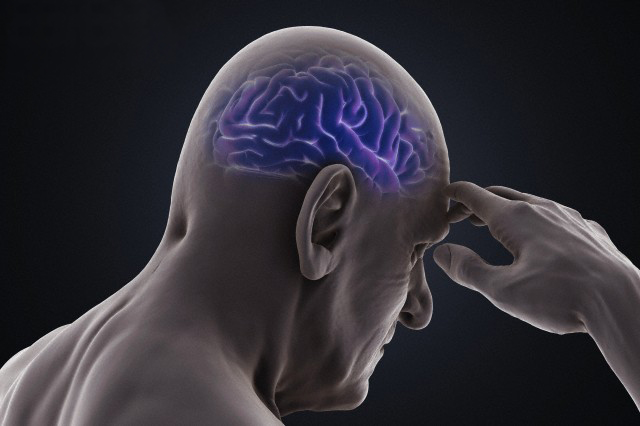 Head, Person, Human