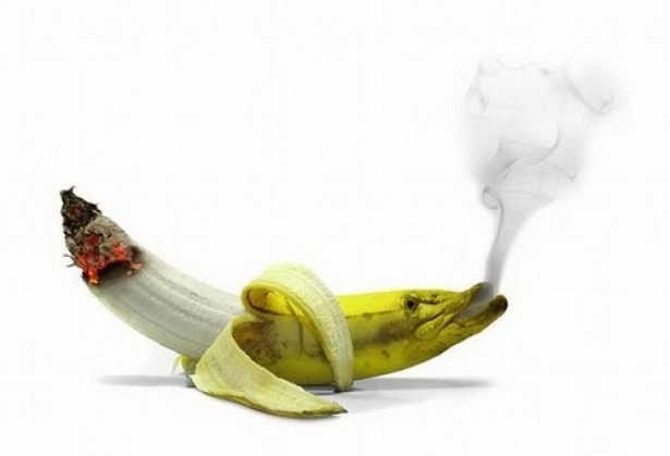مقال عن التدخين | موضوع عن التدخين