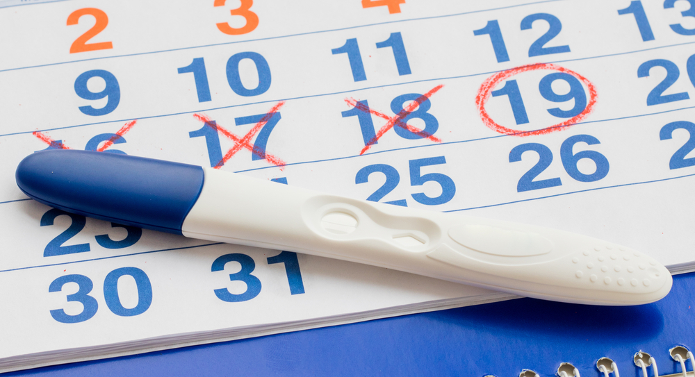 Text, Calendar