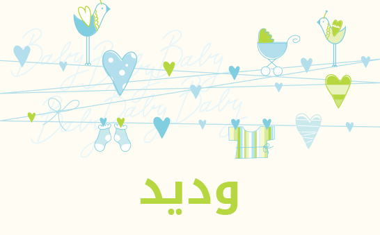 ما معنى إسم وديد؟