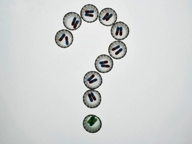 Droplet