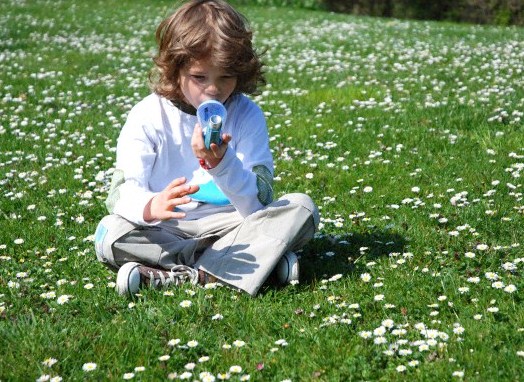 Grass, Plant, Person
