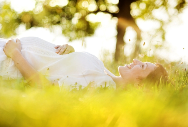 Grass, Plant, Spring