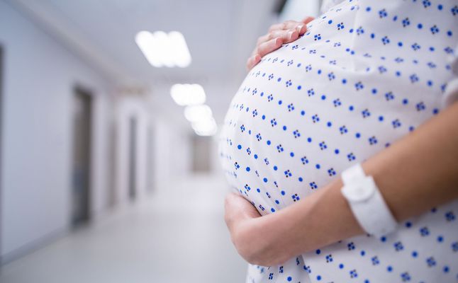 معلومات عن تامين تكافل الراجحي للحامل