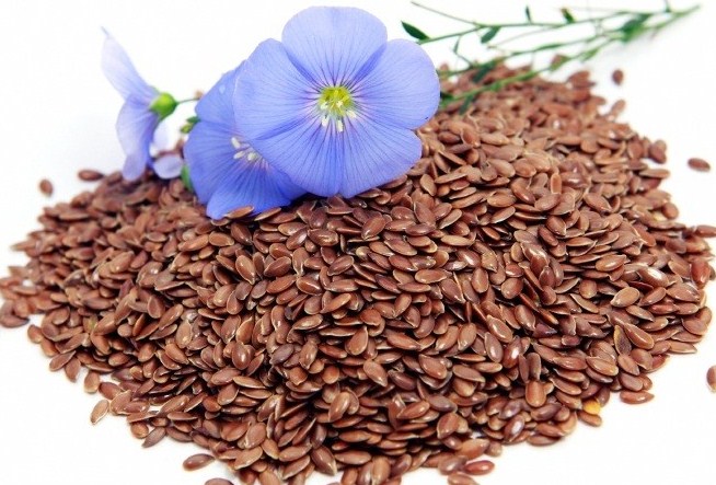 Flax, Plant, Flower