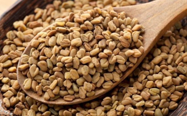 فوائد الحلبة للاطفال الرضع