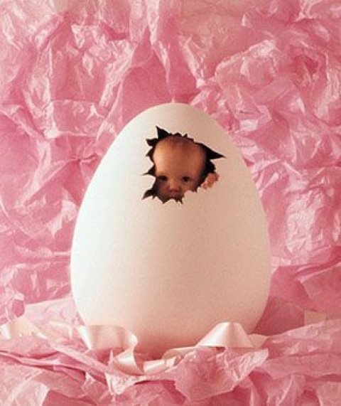Food, Egg, Person