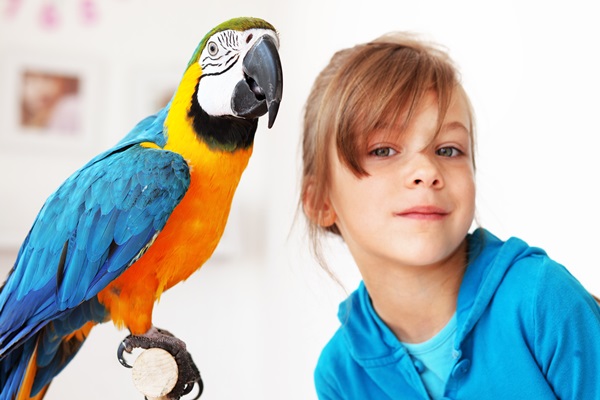 Person, Human, Bird