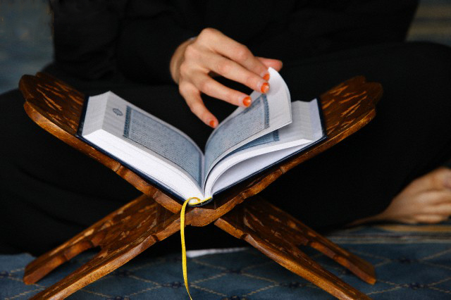 Book, Person, Human