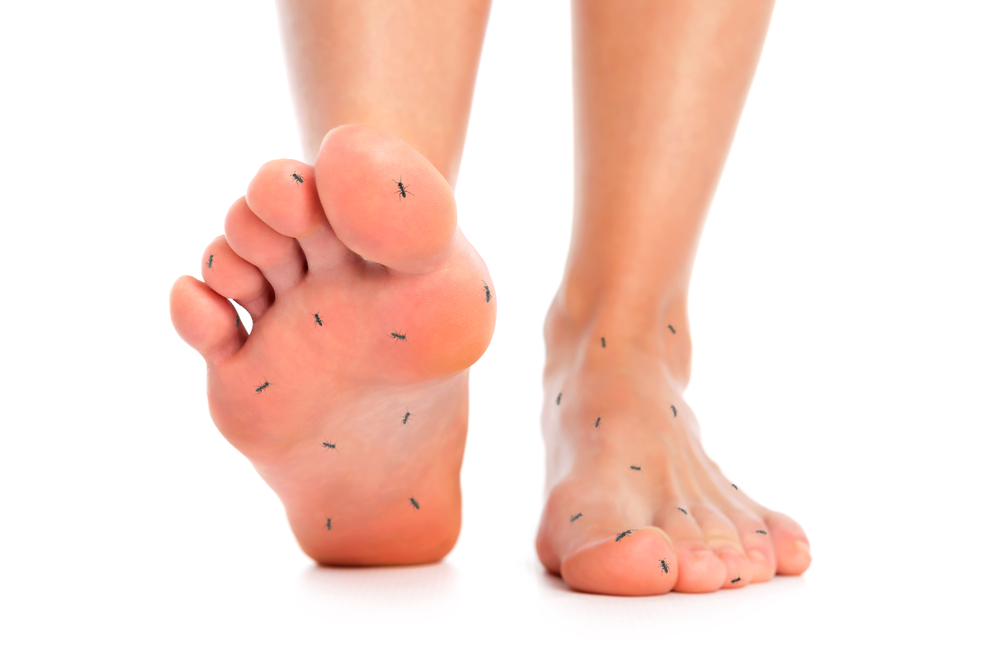 Heel, Person, Human