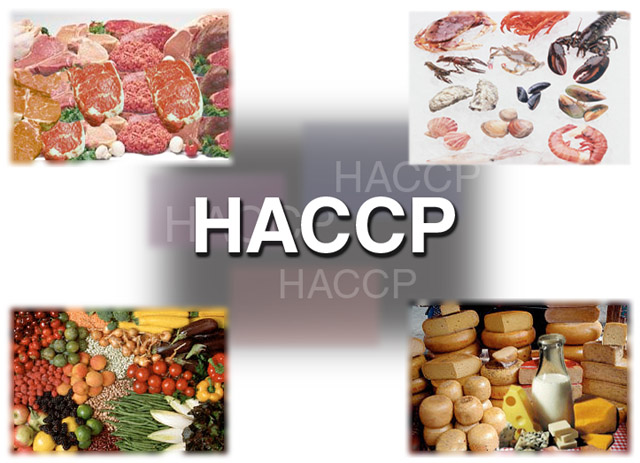 ما هو نهج "HACCP"؟