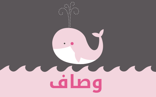 معنى اسم وصاف