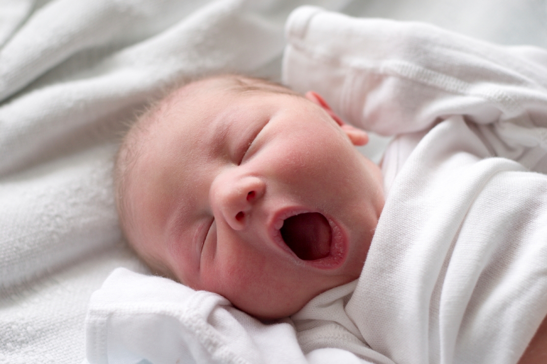Baby, Newborn, Face