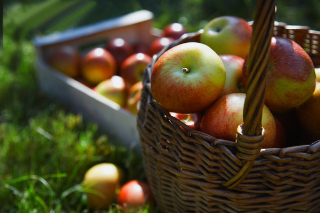 Apple, Plant, Fruit