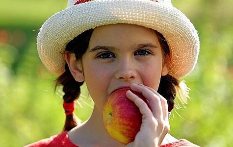 خمس نصائح تؤمن الغذاء الصحي لأولادنا