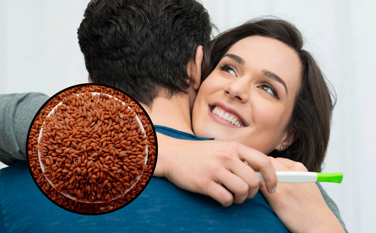 حب الرشاد للحمل
