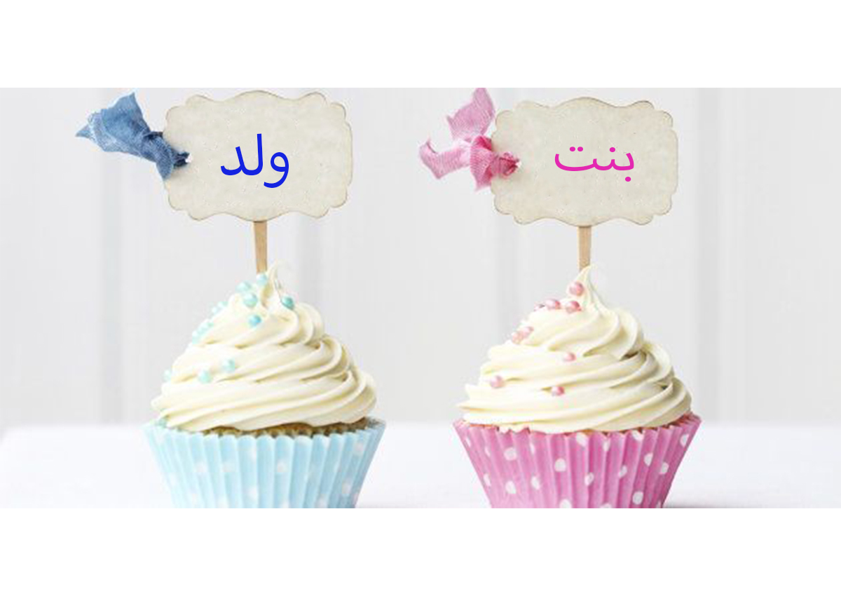 تشابه الاعضاء التناسليه للجنين في الشهر الرابع