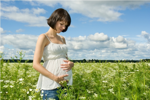 Field, Grassland, Outdoors