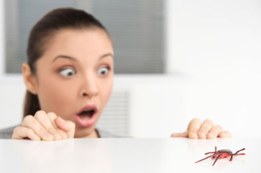 مواقف محرجة ومضحكة تواجهينها إن كنت تخافين من الحشرات