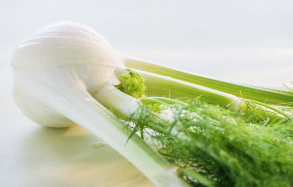 Plant, Produce, Food