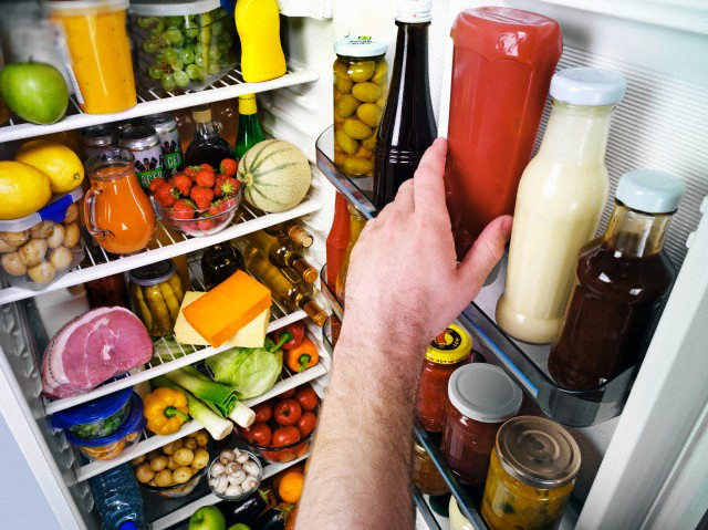 Shelf, Appliance, Refrigerator