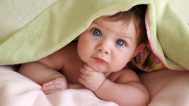 معلومات عن زيت كبد الحوت للرضع
