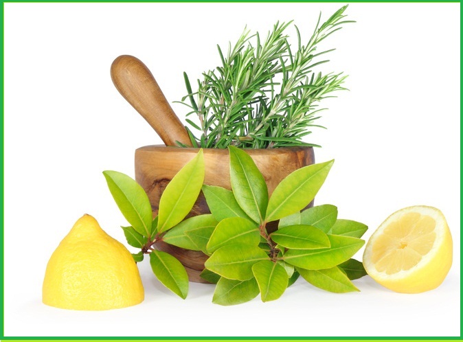 Plant, Citrus Fruit, Fruit