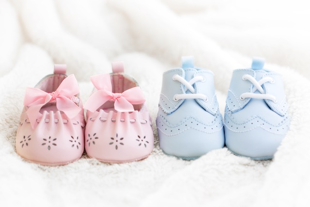 Clothing, Apparel, Shoe