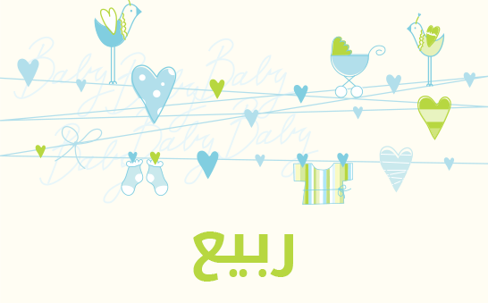 معنى اسم ربيع