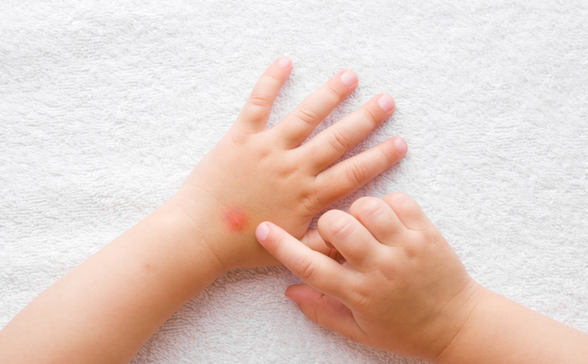 Hand, Person, Human