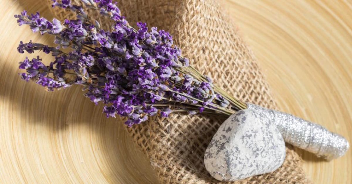 Plant, Lavender, Snake