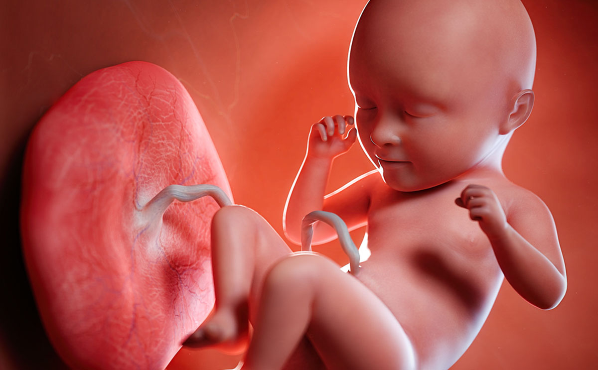 Person, Human, Newborn