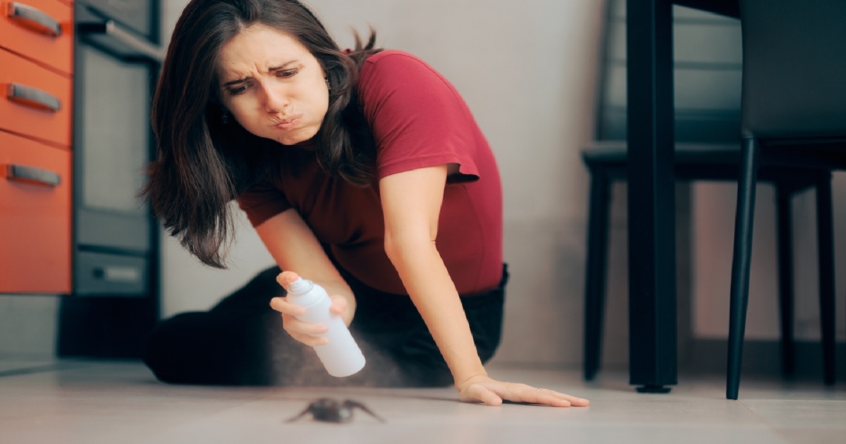 كيفية التخلص من الذباب في المنزل