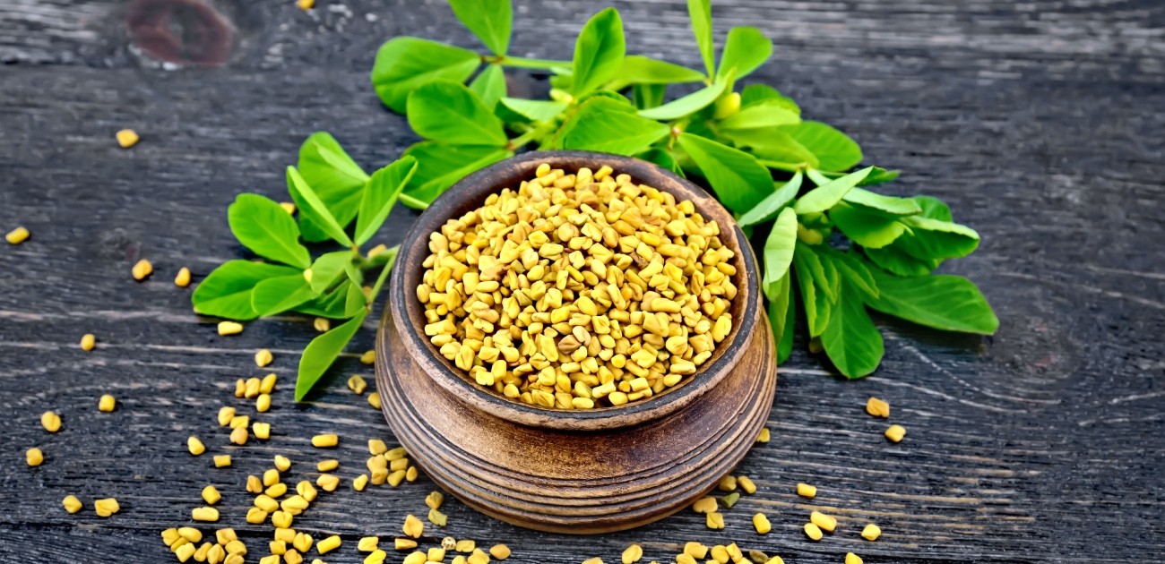 نبتة الحلبة