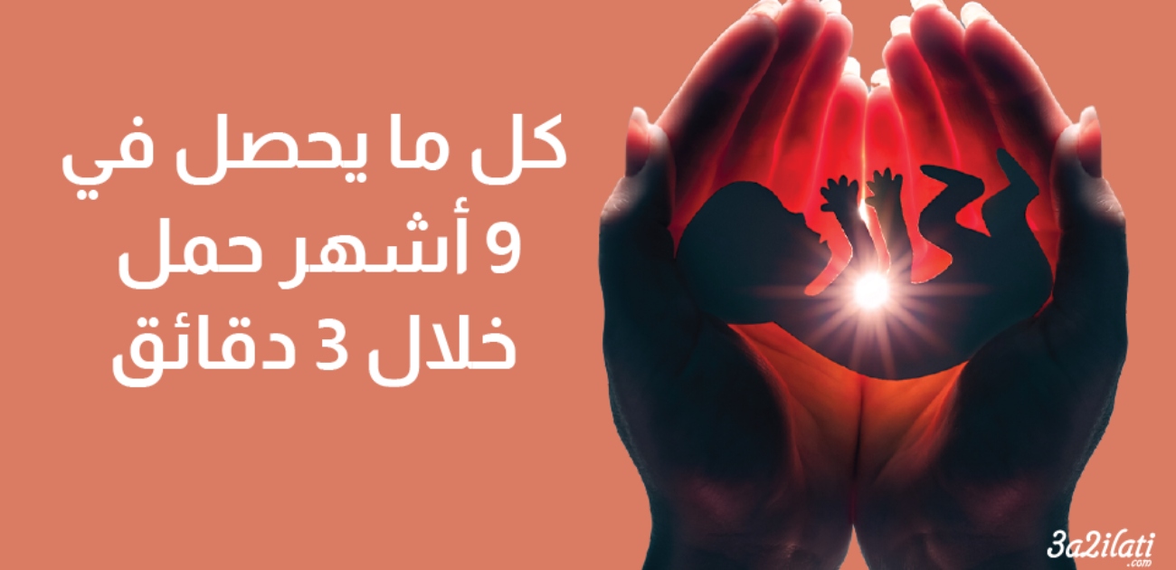 بالفيديو، كل ما يحصل في 9 أشهر حمل خلال 3 دقائق